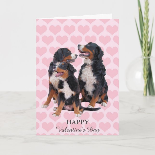 Tarjeta Festiva Bernese Mountain Dogs Hearts El día de San Valentí (Anverso)