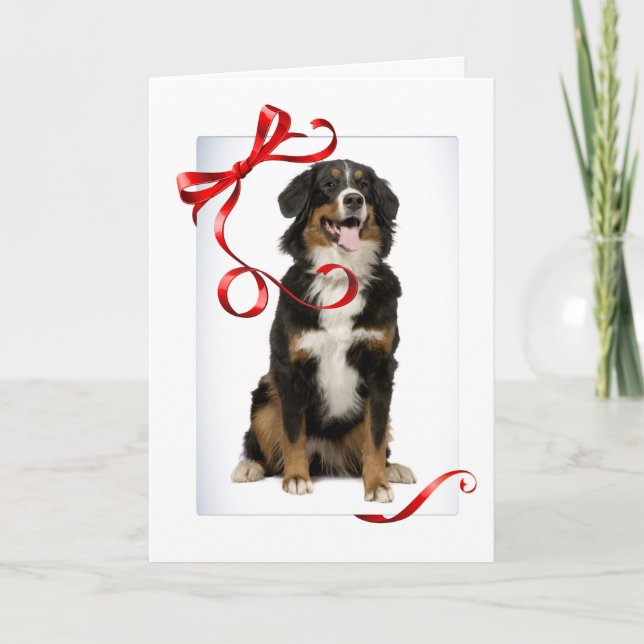 Tarjeta Festiva Bernese Mt. Dog Navidades Card (Anverso)