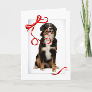 Tarjeta Festiva Bernese Mt. Dog Navidades Card