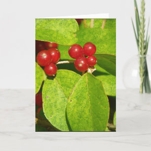 Tarjeta Festiva Berries Rojos