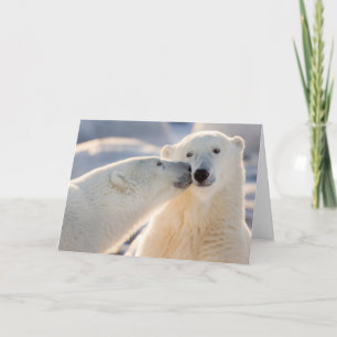 Tarjeta Festiva Beso de oso polar