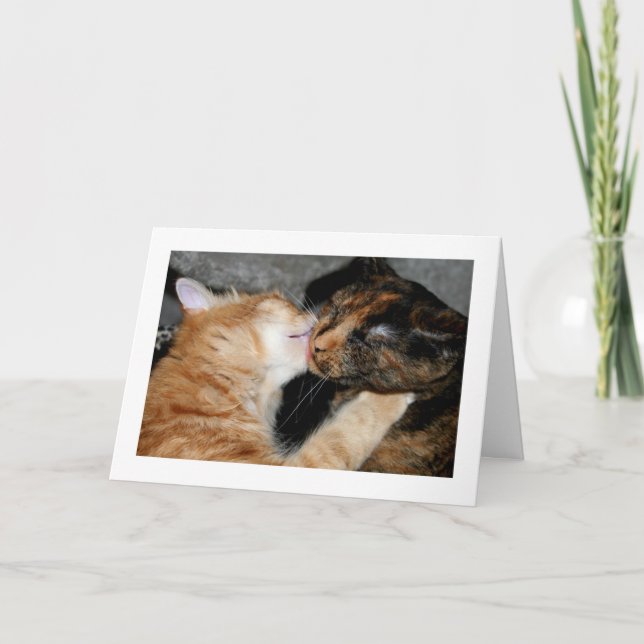 Tarjeta Festiva ¡besos! (Anverso)