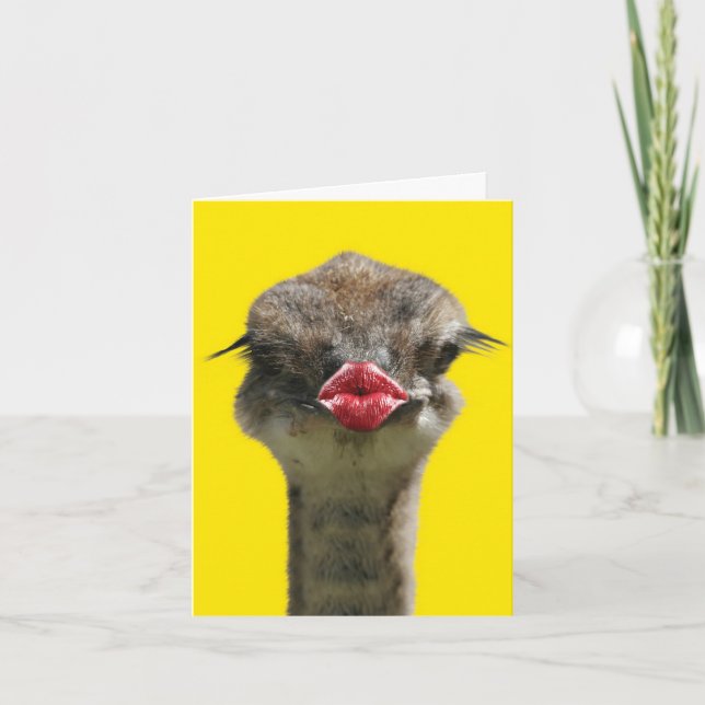 Tarjeta Festiva Besos salvajes - avestruz - Obtén una buena tarjet (Anverso)