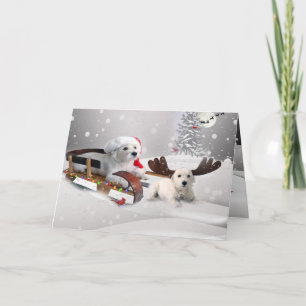 Tarjeta Festiva Bichon Frise A Merry Christmas Grecard