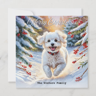 Tarjeta Festiva Bichon Frise en la nieve perro lindo invierno Navi