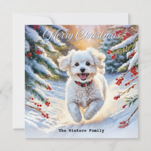 Tarjeta Festiva Bichon Frise en la nieve perro lindo invierno Navi