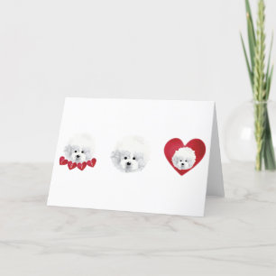 Tarjeta Festiva Bichon Frise _ mezcla _ 