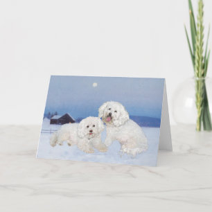 Tarjeta Festiva Bichon Frise Tarde de Diciembre