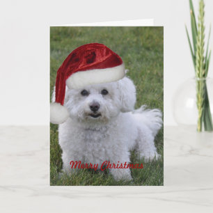 Tarjeta Festiva Bichon Merry Christmas