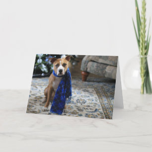 Tarjeta Festiva Bienvenida navideña del perro de rescate de Pit Bu
