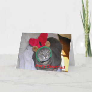 Tarjeta Festiva ¡bigfatcat, Felices Navidad!