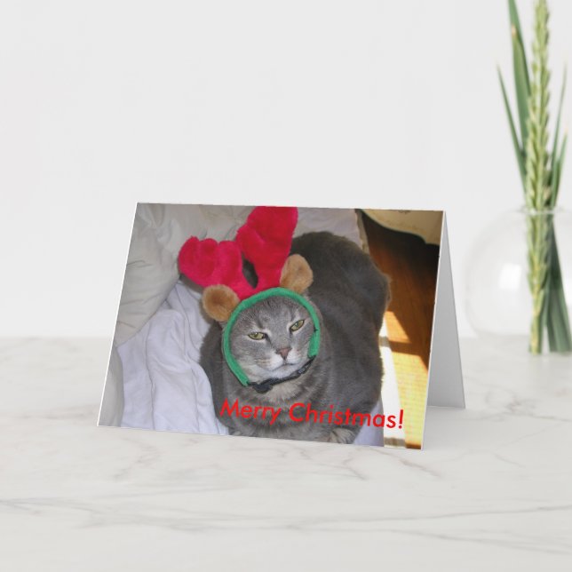 Tarjeta Festiva ¡bigfatcat, Felices Navidad! (Anverso)