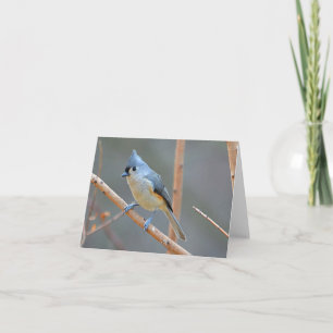 Tarjeta Festiva Bird Notecard