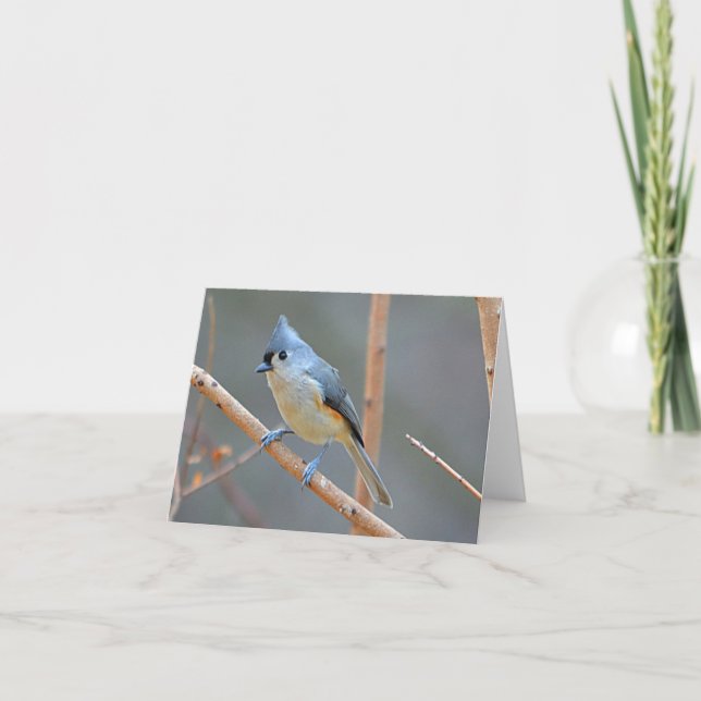 Tarjeta Festiva Bird Notecard (Anverso)