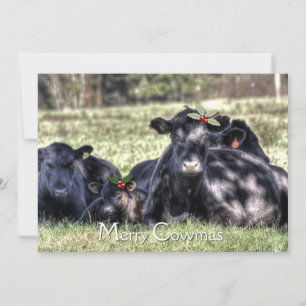Tarjeta Festiva Black Angus Holly Merry Cowmas Gremio