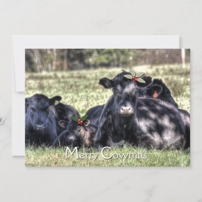 Tarjeta Festiva Black Angus Holly Merry Cowmas Gremio (Anverso)