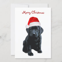 Black Lab Merry Christmas Labrador Puppy Santa Dog
