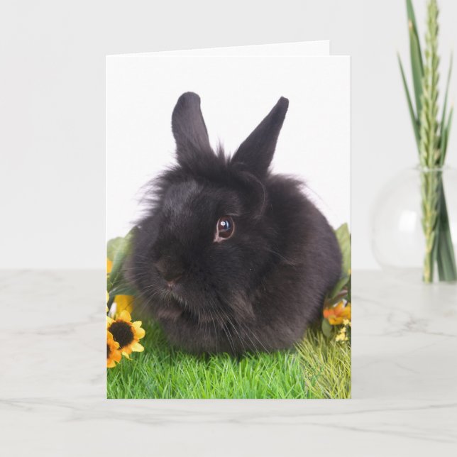 Tarjeta Festiva black rabbit (Anverso)
