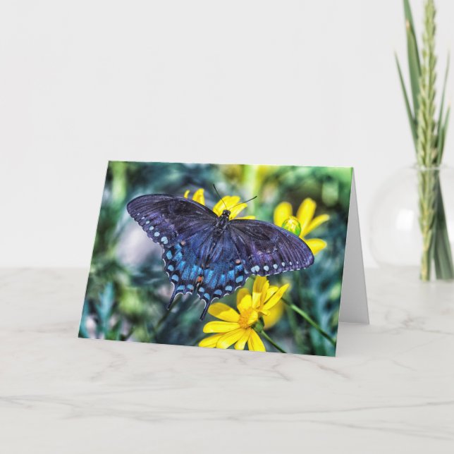 Tarjeta Festiva Black Swallowtail en flores amarillas (Anverso)