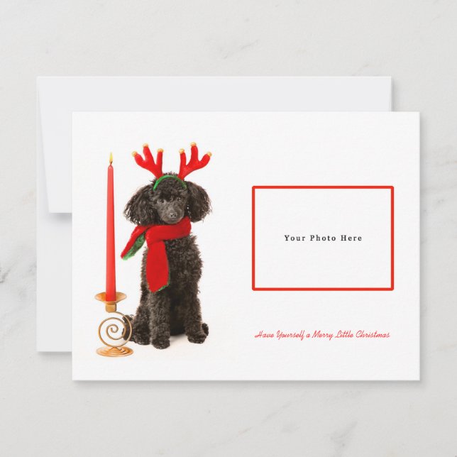 Tarjeta Festiva Black Toy Poodle Merry Christmas (Anverso)