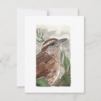 Tarjeta Festiva Blank - Carolina Wren Watercolor Print