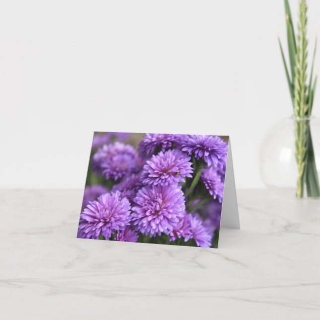 Tarjeta Festiva Bloom de Aster Chino Púrpura (Anverso)