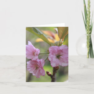Tarjeta Festiva Bloom rosa de Apple en foto de primavera para mamá