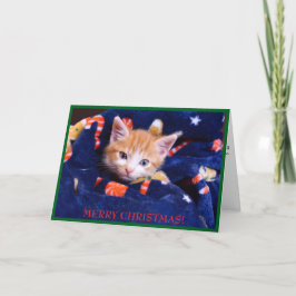 Tarjeta Festiva Blue Blanket Cat Merry Christmas Naranja Kitten
