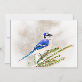 Tarjeta Festiva Blue Jay in Snowy Pine Tree