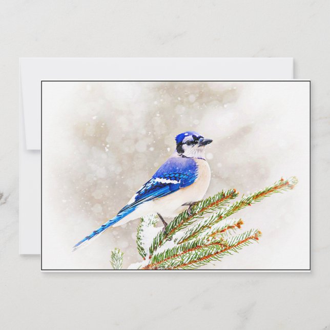 Tarjeta Festiva Blue Jay in Snowy Pine Tree (Anverso)