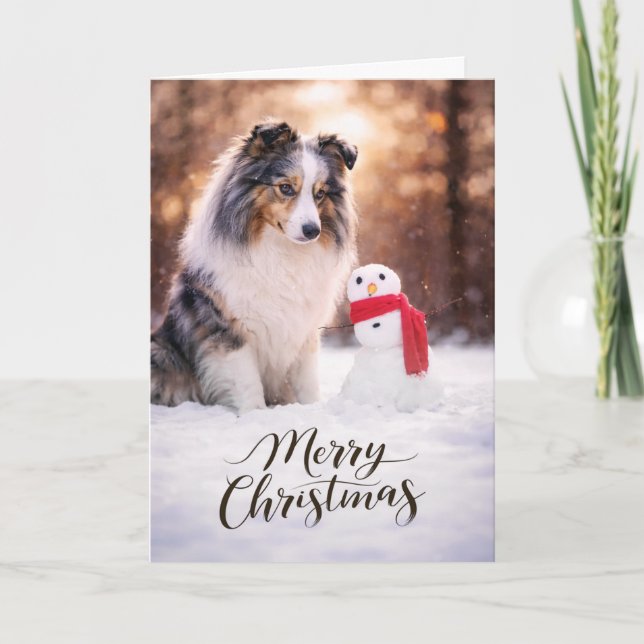Tarjeta Festiva Blue Merle Sheltie Christmas Snowman (Anverso)