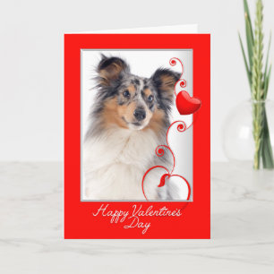 Tarjeta Festiva Blue Merle Sheltie Valentine