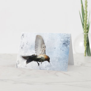 Tarjeta Festiva Bluebird All Occasions Blank Inside