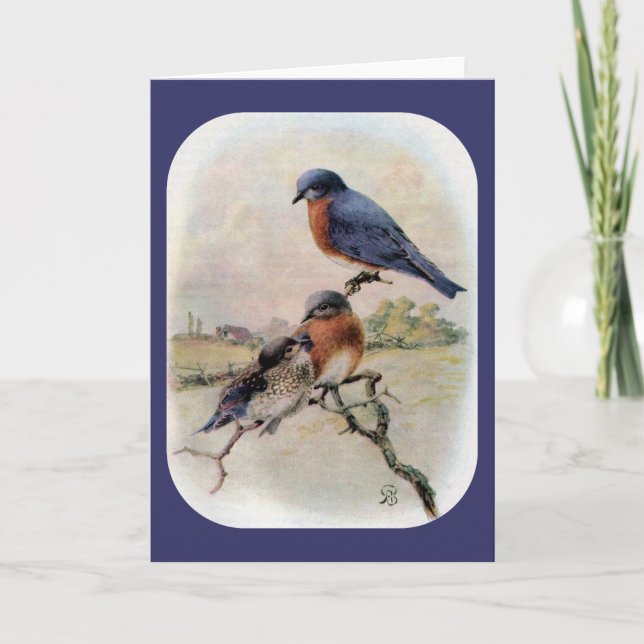 Tarjeta Festiva Bluebirds del este con el pájaro de bebé (Anverso)