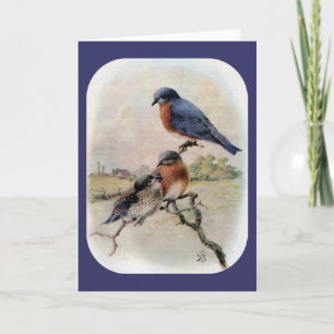 Tarjeta Festiva Bluebirds del este con el pájaro de bebé