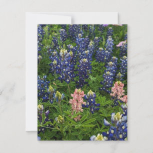 Tarjeta Festiva Bluebonnets y Snapdragons