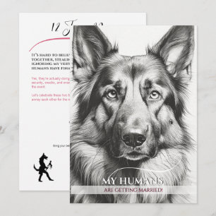 Tarjeta Festiva Boda divertida con temática canina y pastor travie
