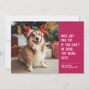 Tarjeta Festiva Bonita lista divertida mascota rosa foto de Navida