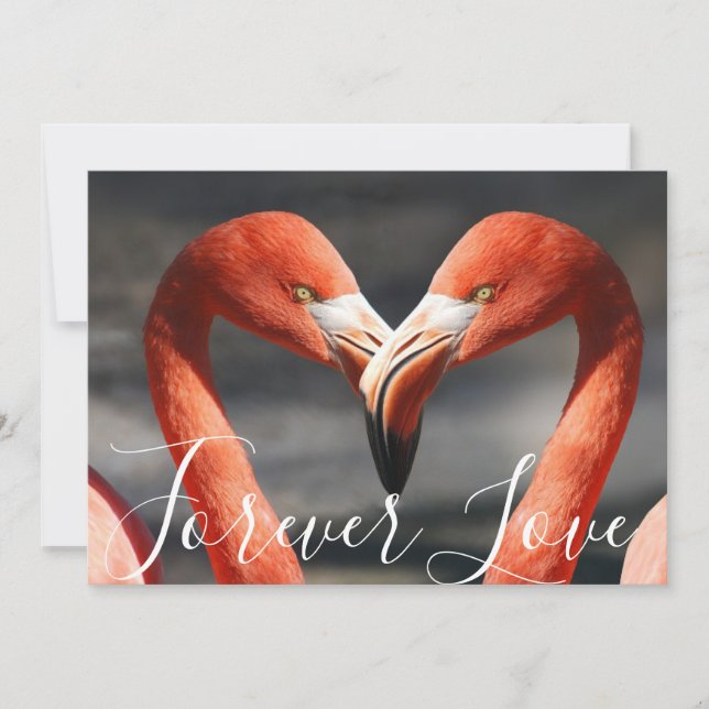 Tarjeta Festiva Bonito Amor Flamingos Naranja Día de San Valentín  (Anverso)
