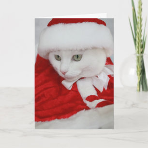 Tarjeta Festiva Bonito White Santa Kitty