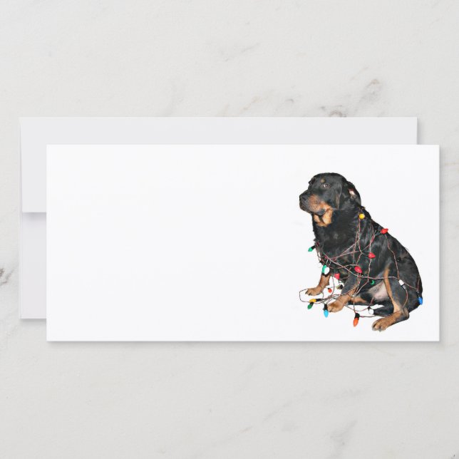 Tarjeta Festiva Booboo de los Navidades Rottie (Anverso)