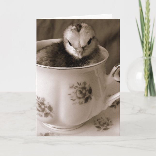 Tarjeta Festiva Boots En Una Taza De Té (Anverso)