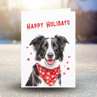 Border Collie con pañuelo rojo de corazones en Nav