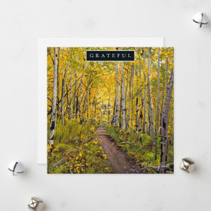 Tarjeta Festiva Bosque de árboles de Aspen