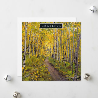 Tarjeta Festiva Bosque de árboles de Aspen