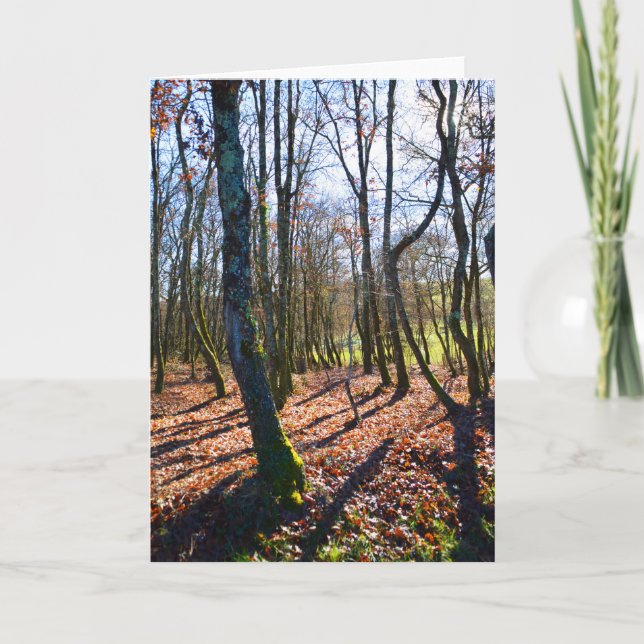 Tarjeta Festiva Bosque de invierno en Francia (Anverso)