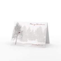 Bosque de Snowy White con el cardenal rojo