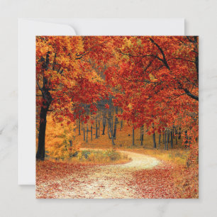 Tarjeta Festiva Bosque del otoño