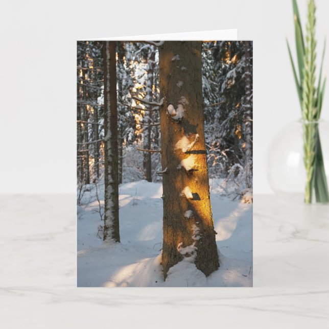 Tarjeta Festiva Bosque en invierno (Anverso)