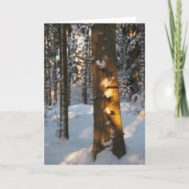 Tarjeta Festiva Bosque en invierno